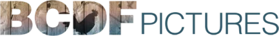 BCDF Pictures