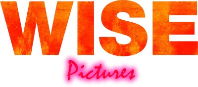 Wise Pictures