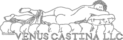 Venus Castina Productions